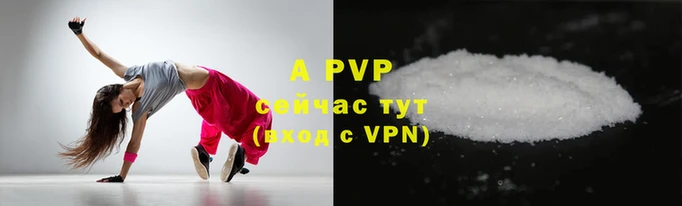 стафф Новодвинск